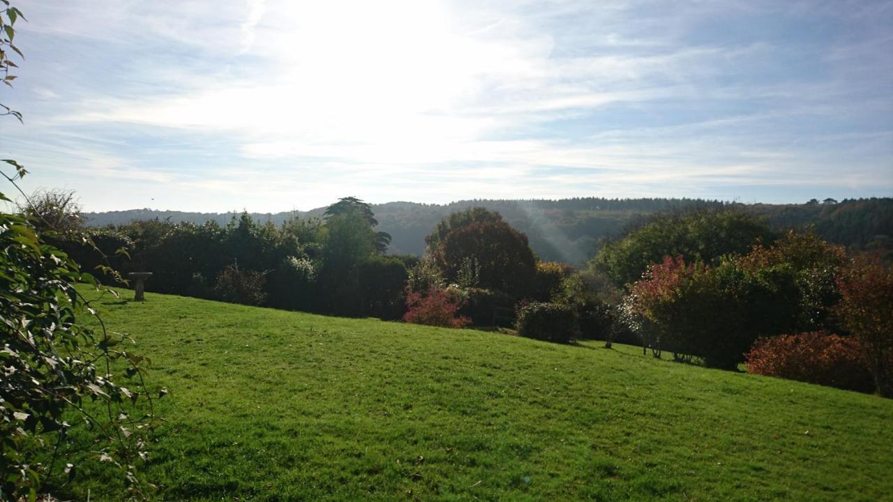 Nettle Bank Bed & Breakfast Lyme Regis Eksteriør bilde
