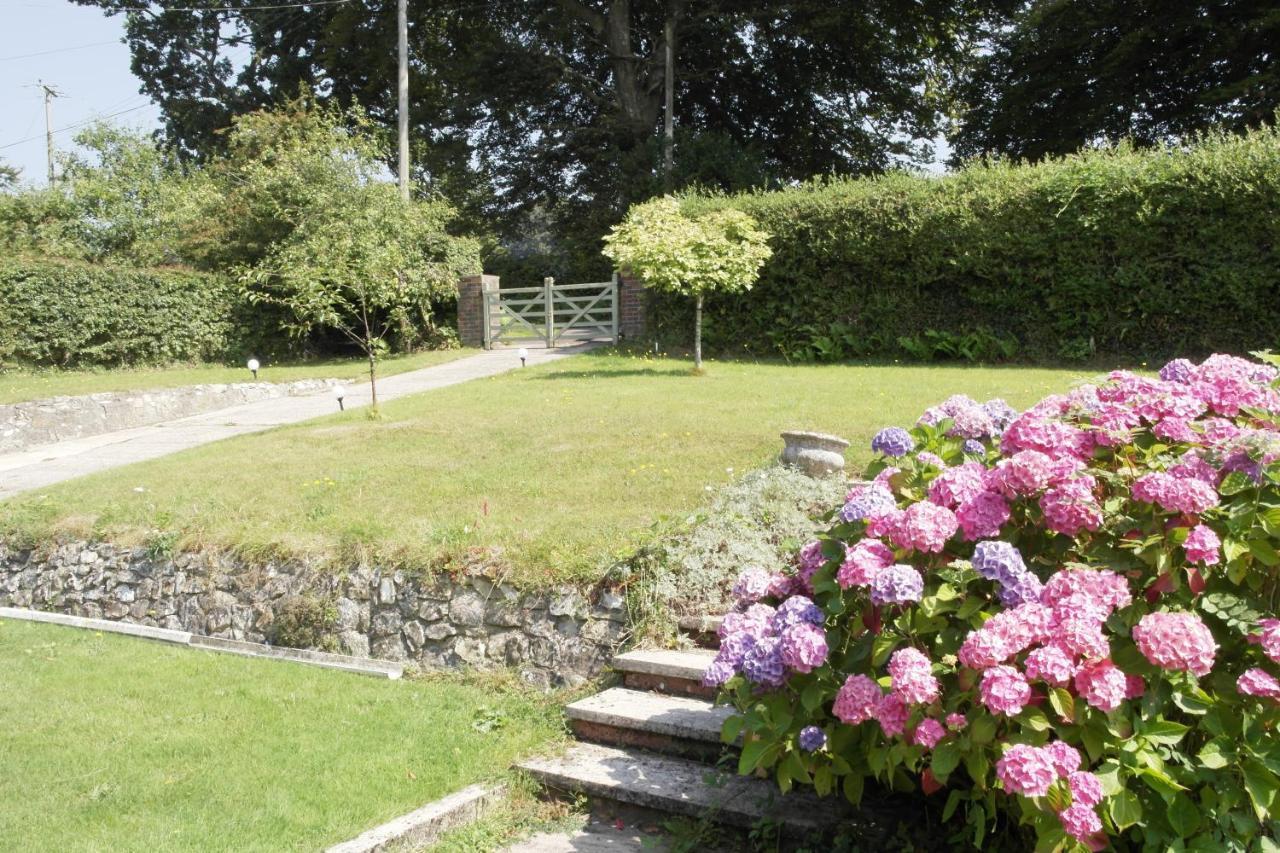 Nettle Bank Bed & Breakfast Lyme Regis Eksteriør bilde