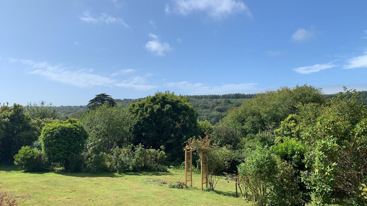 Nettle Bank Bed & Breakfast Lyme Regis Eksteriør bilde