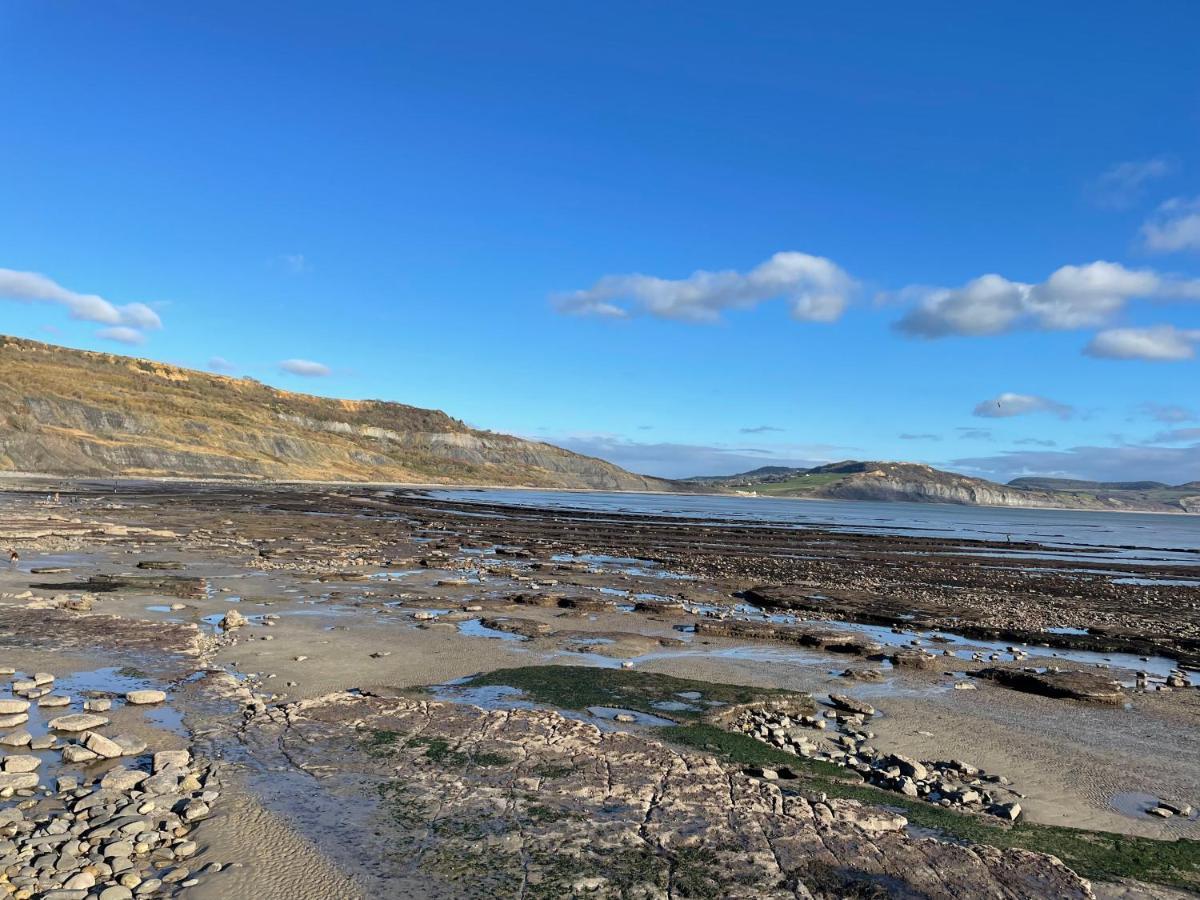 Nettle Bank Bed & Breakfast Lyme Regis Eksteriør bilde