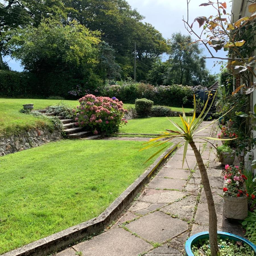 Nettle Bank Bed & Breakfast Lyme Regis Eksteriør bilde